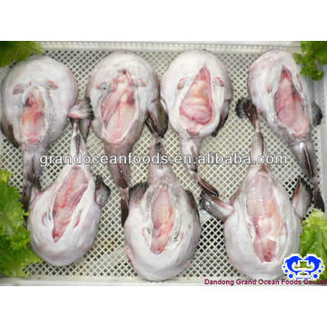 frozen monkfish tail meat IQF